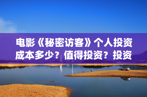 电影《秘密访客》个人投资成本多少？值得投资？投资分红多少？(秘密访客完整剧情)
