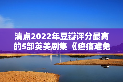 清点2022年豆瓣评分最高的5部英美剧集 《疼痛难免》评分最高