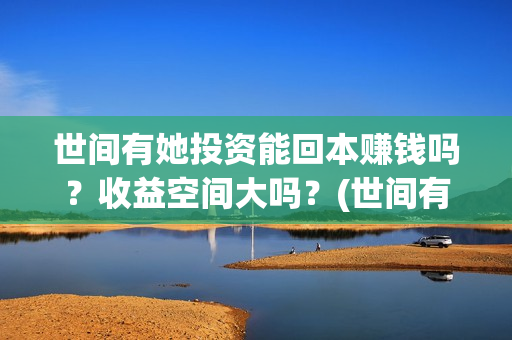 世间有她投资能回本赚钱吗？收益空间大吗？(世间有她投资成本)