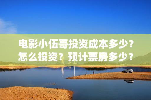电影小伍哥投资成本多少？怎么投资？预计票房多少？(电影小伍哥投资多少钱)