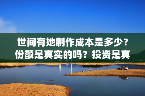 世间有她制作成本是多少？份额是真实的吗？投资是真的假的？(世间有她题材)
