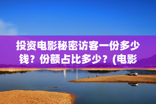 投资电影秘密访客一份多少钱？份额占比多少？(电影秘密百度百科)