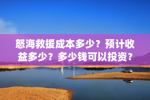 怒海救援成本多少？预计收益多少？多少钱可以投资？(怒海救援海报)