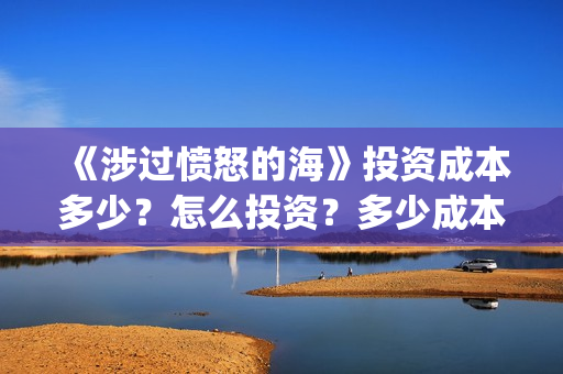 《涉过愤怒的海》投资成本多少？怎么投资？多少成本？(涉过愤怒的海周依然做出的牺牲)