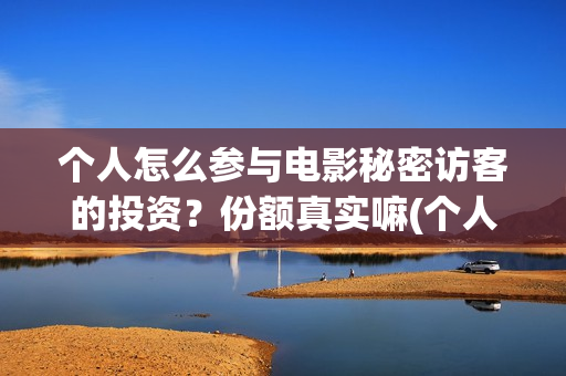 个人怎么参与电影秘密访客的投资？份额真实嘛(个人如何做电商?)