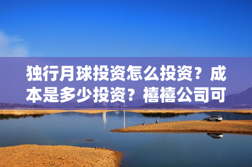 独行月球投资怎么投资？成本是多少投资？禧禧公司可以投资吗？(独行月球投资成本)
