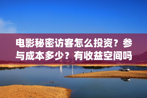 电影秘密访客怎么投资？参与成本多少？有收益空间吗？(电影秘密访客怎么样好看)