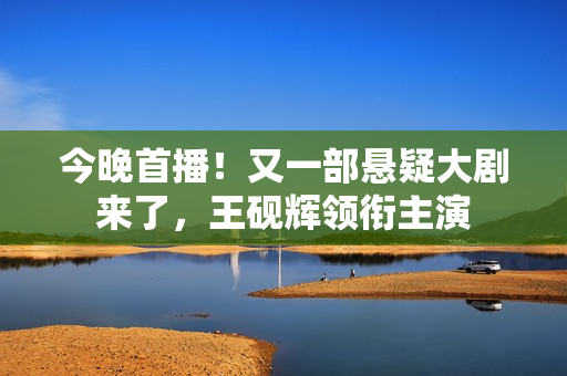 今晚首播！又一部悬疑大剧来了，王砚辉领衔主演