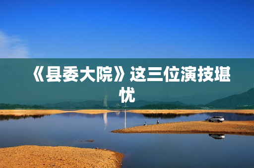 《县委大院》这三位演技堪忧