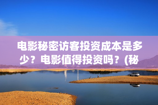 电影秘密访客投资成本是多少？电影值得投资吗？(秘密访客电影价钱)