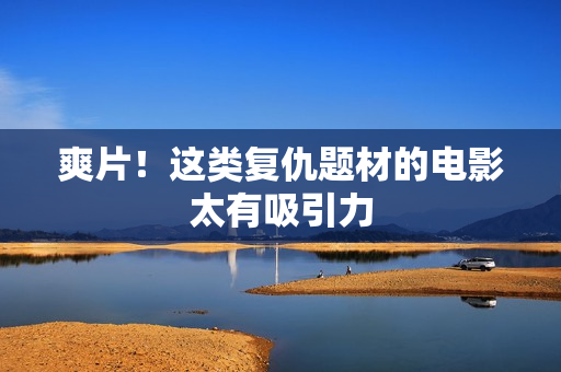 爽片！这类复仇题材的电影太有吸引力