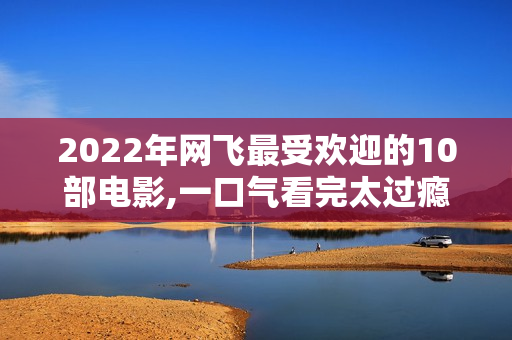 2022年网飞最受欢迎的10部电影,一口气看完太过瘾