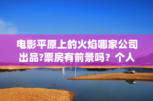 电影平原上的火焰哪家公司出品?票房有前景吗？个人参与投资有风险吗(平原上的火焰15秒预告片)