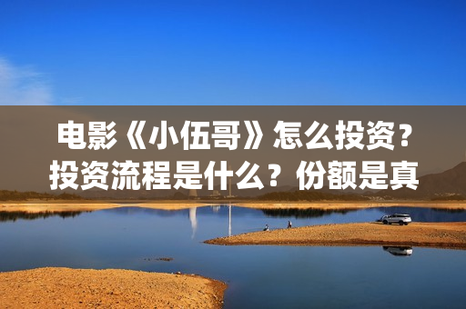 电影《小伍哥》怎么投资？投资流程是什么？份额是真实的吗？(电影小伍哥上映时间)