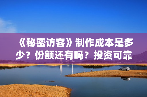 《秘密访客》制作成本是多少？份额还有吗？投资可靠吗？((秘密访客))