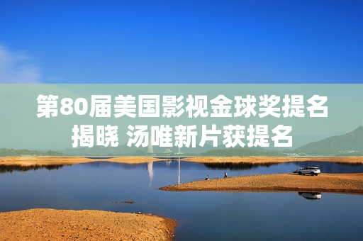 第80届美国影视金球奖提名揭晓 汤唯新片获提名