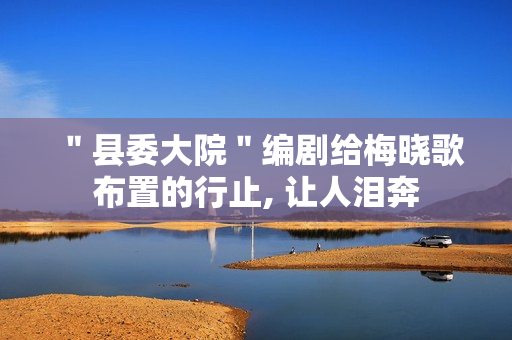 ＂县委大院＂编剧给梅晓歌布置的行止, 让人泪奔