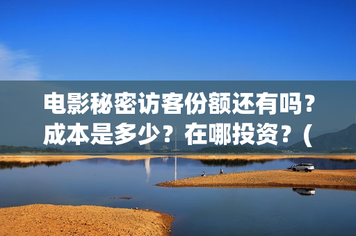 电影秘密访客份额还有吗？成本是多少？在哪投资？(电影秘密访客深度解析)