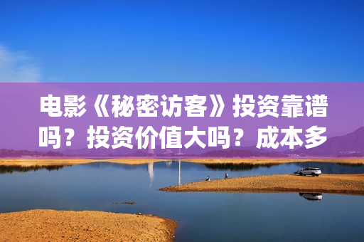 电影《秘密访客》投资靠谱吗？投资价值大吗？成本多少？(电影,秘密访客)