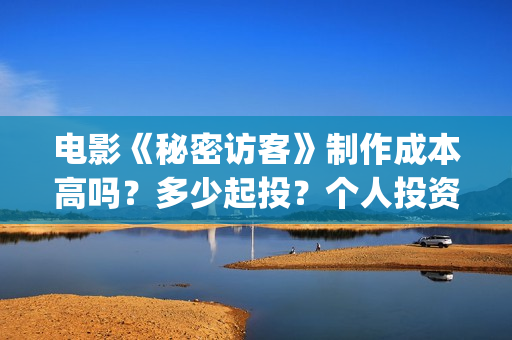 电影《秘密访客》制作成本高吗？多少起投？个人投资份额是否真实？(电影《秘密访客》演员表)