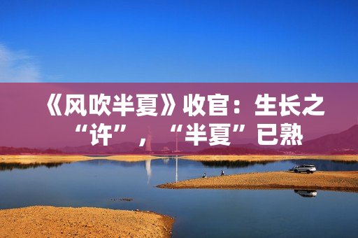 《风吹半夏》收官：生长之“许”，“半夏”已熟