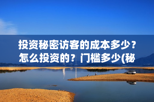 投资秘密访客的成本多少？怎么投资的？门槛多少(秘密访客投资成本)