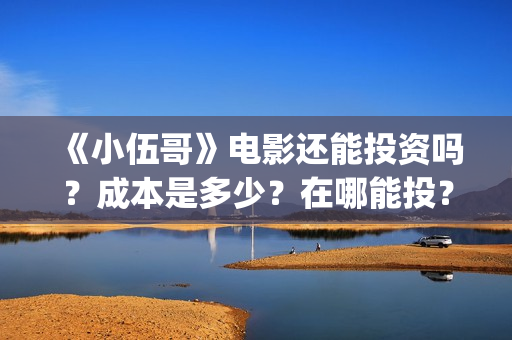 《小伍哥》电影还能投资吗？成本是多少？在哪能投？份额还有吗？(小伍哥在线观看)