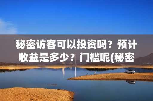 秘密访客可以投资吗？预计收益是多少？门槛呢(秘密访客访客是谁)
