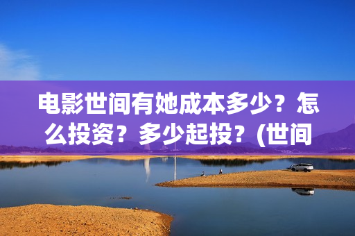 电影世间有她成本多少？怎么投资？多少起投？(世间有她是什么片)