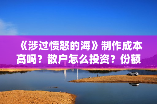 《涉过愤怒的海》制作成本高吗？散户怎么投资？份额真实吗?(涉过愤怒的海事件原型)