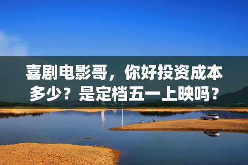 喜剧电影哥，你好投资成本多少？是定档五一上映吗？预估收益多少？(有个电影叫什么哥哥)