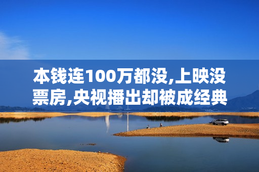 本钱连100万都没,上映没票房,央视播出却被成经典