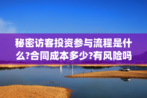 秘密访客投资参与流程是什么?合同成本多少?有风险吗?(秘密访客电影投资效果价目表)