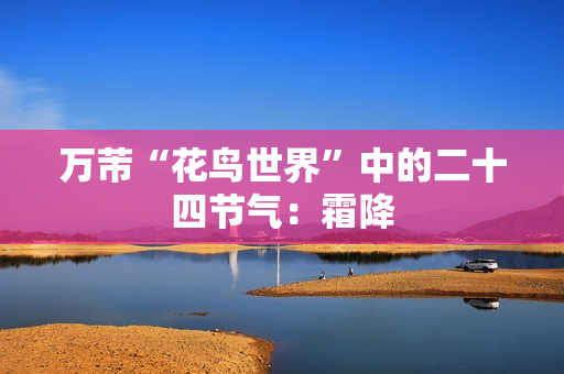 万芾“花鸟世界”中的二十四节气：霜降