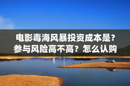 电影毒海风暴投资成本是？参与风险高不高？怎么认购？(毒海风暴开机)