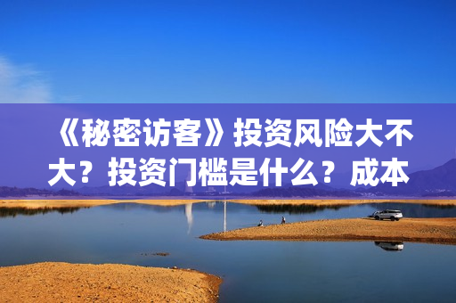 《秘密访客》投资风险大不大？投资门槛是什么？成本是多少？(秘密访客演了个啥)