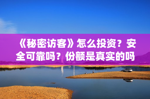 《秘密访客》怎么投资？安全可靠吗？份额是真实的吗？((秘密访客))
