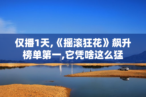 仅播1天,《摇滚狂花》飙升榜单第一,它凭啥这么猛