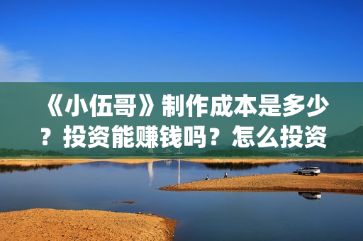 《小伍哥》制作成本是多少？投资能赚钱吗？怎么投资(电影小伍哥是哪家公司制片的)