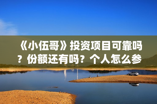 《小伍哥》投资项目可靠吗？份额还有吗？个人怎么参与投资(电影小伍哥投资)