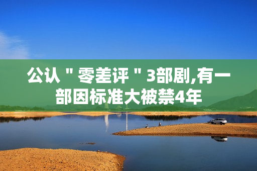 公认＂零差评＂3部剧,有一部因标准大被禁4年