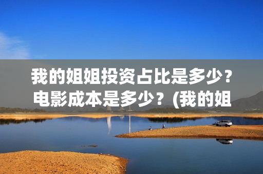 我的姐姐投资占比是多少？电影成本是多少？(我的姐姐投资成本一共多少)