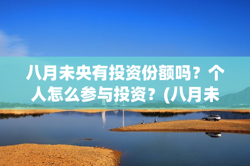 八月未央有投资份额吗？个人怎么参与投资？(八月未央总投资)