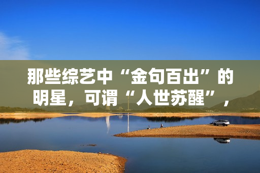 那些综艺中“金句百出”的明星，可谓“人世苏醒”，谁的发声最冷艳？