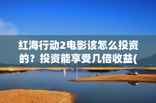 红海行动2电影该怎么投资的？投资能享受几倍收益(红海行动2电影播放在线观看)