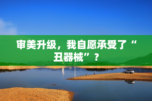 审美升级，我自愿承受了“丑器械”？