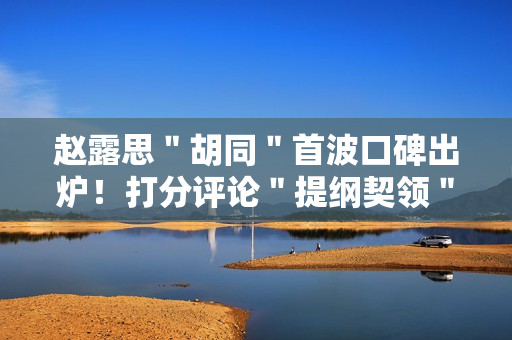 赵露思＂胡同＂首波口碑出炉！打分评论＂提纲契领＂