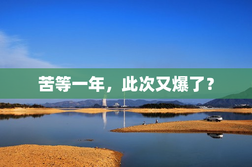 苦等一年，此次又爆了？