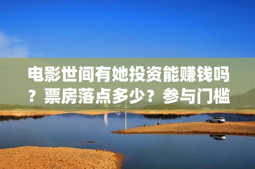 电影世间有她投资能赚钱吗？票房落点多少？参与门槛多少？(电影 世间有她)