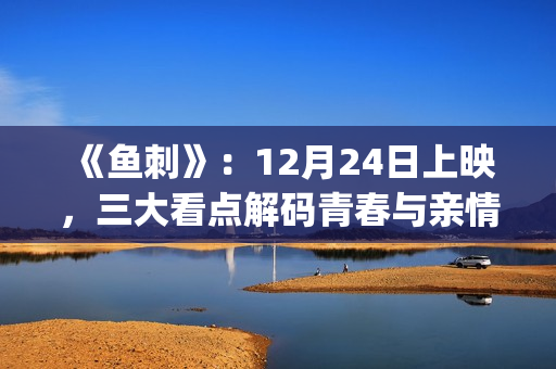 《鱼刺》：12月24日上映，三大看点解码青春与亲情的羁绊(帮我找一下鱼刺)
